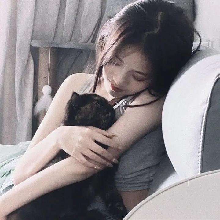 猫样少女封面