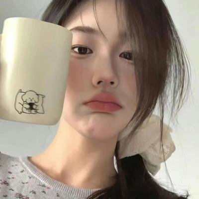 彩叶草之梦封面