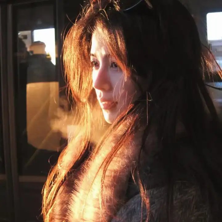 青松岭封面